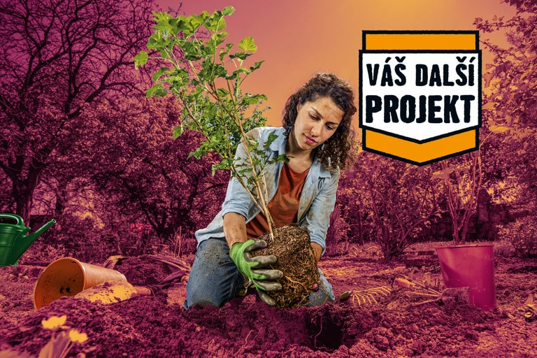 Žena sází mladý strom na zahradě se zahradním nářadím a nápisem Váš další projekt
