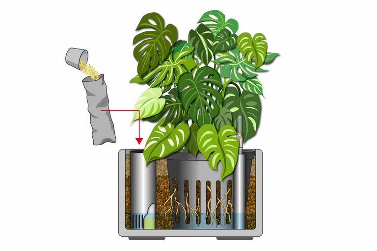 Zobrazení samozavlažovacího květináče s rostlinou Monstera