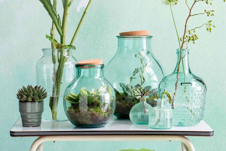 Různé skleněné vázy a rostliny na stole