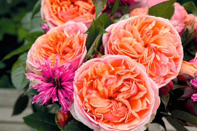 Detailní záběr kytice s květy růží