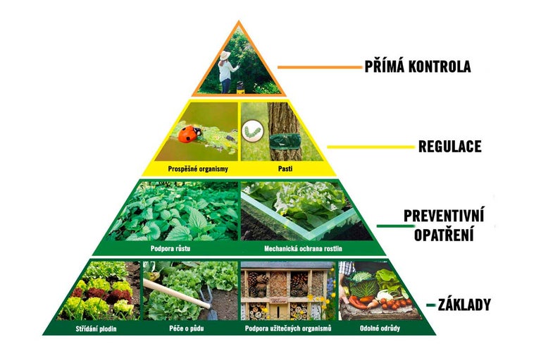 Pyramida pro kontrolu škůdců a ochranu rostlin