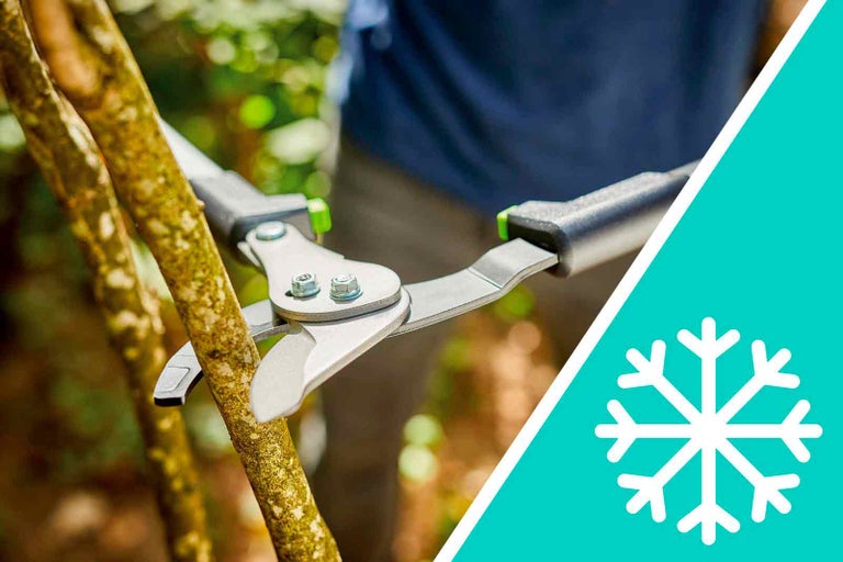 Nůžky na větve stříhají větev