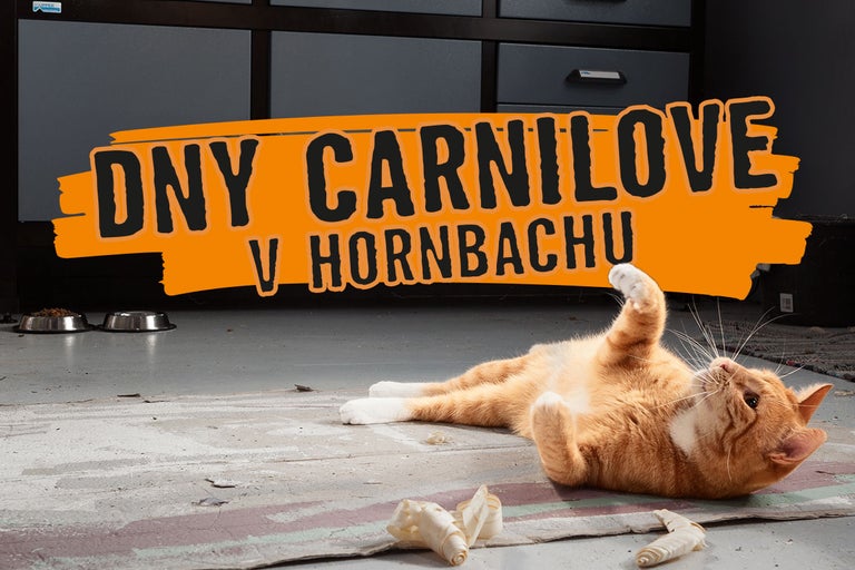 Promo stánek Carnilove pro kočky