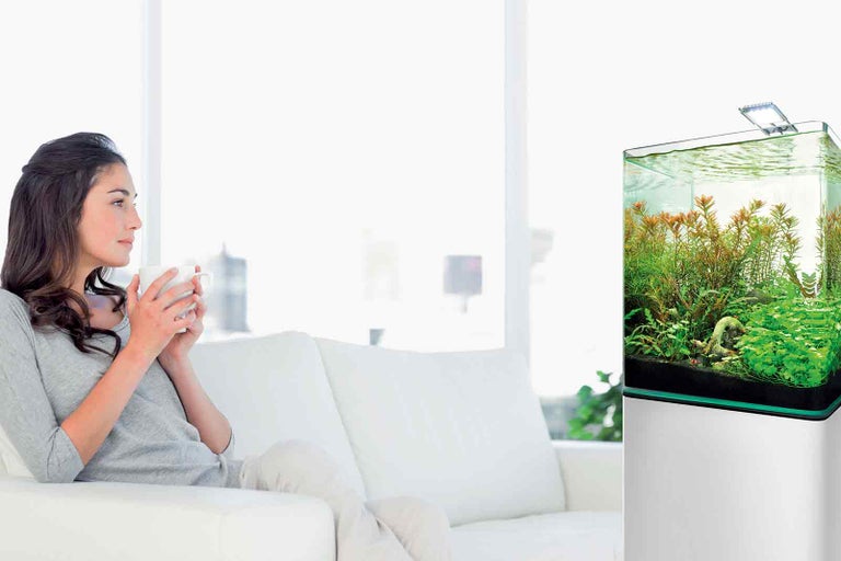 Žena s šálkem vedle akvária s rostlinami v obývacím pokoji