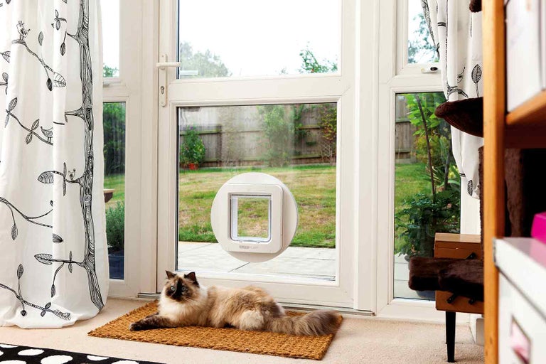 Kočka leží před kočičími dvířky ve skleněných dveřích