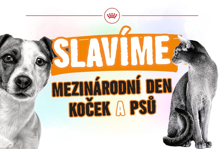 Logo Royal Canin, ilustrace psa a kočky s textem Slavíme mezinárodní den koček a psů.