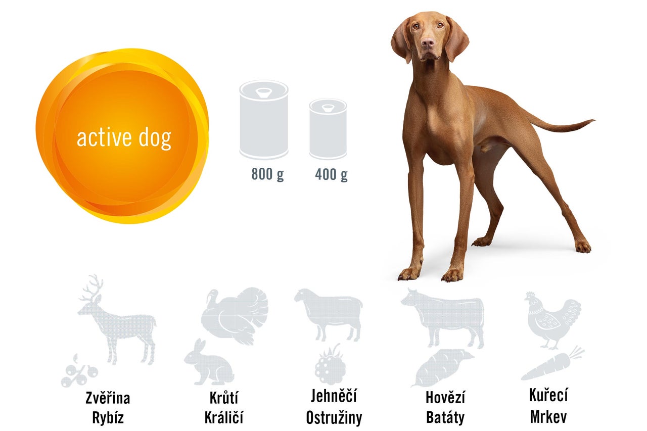 Obrázek krmiva pro psy Active Dog s různými přísadami a velikostmi