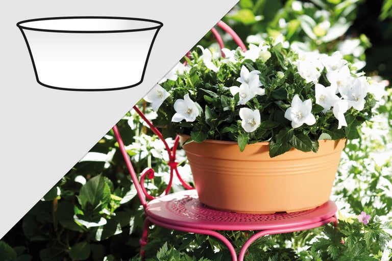 Květináč na zahradní židli s bílými květy