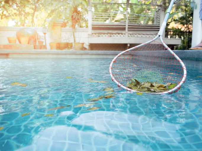 Síťka na listí používaná k čištění bazénu.