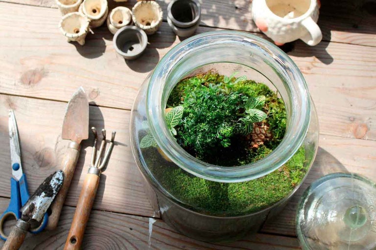 Skleněná nádoba s rostlinami, mechem, zahradním nářadím a malými květináči na dřevěném stole