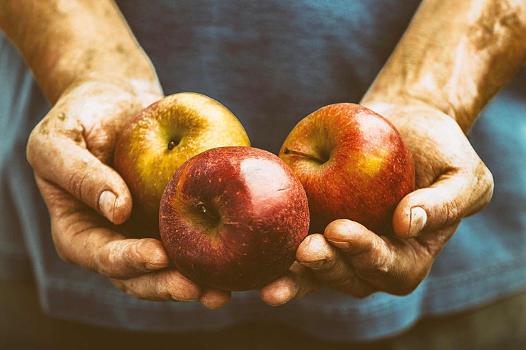 Ruce drží tři jablka