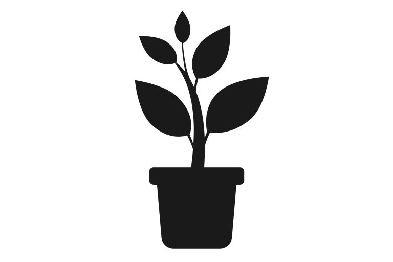 Symbol rostliny v květináči