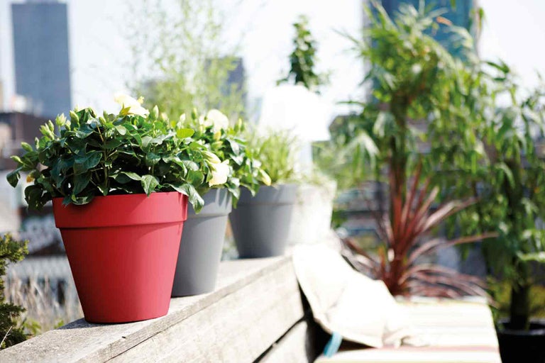 Květiny v květináčích na terase