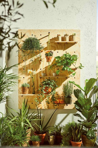 Dřevěná deska s rostlinami a policemi pro montáž na stěnu jako zahradní dekorace