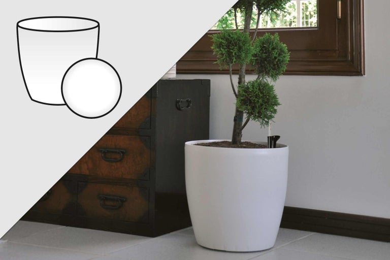 Rostlina v bílém květináči se zavlažovacím systémem