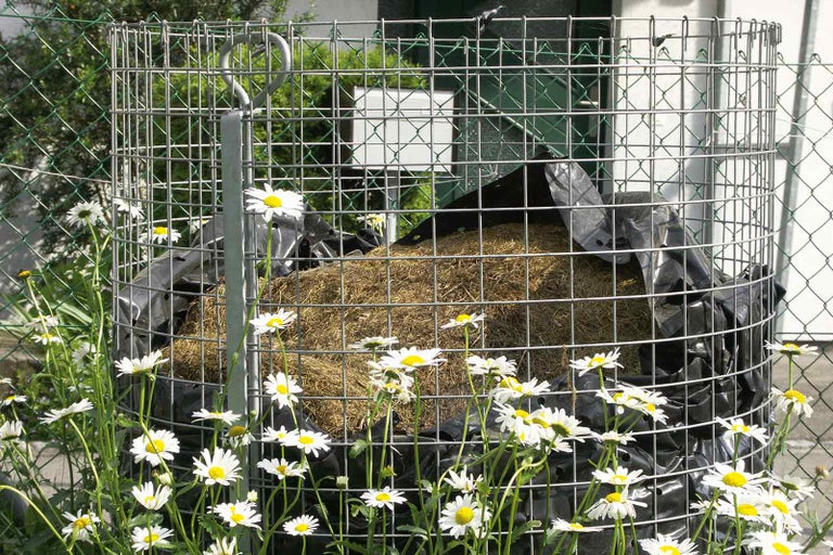 Kovový pletivový kompostér s organickým materiálem a sedmikráskami na zahradě