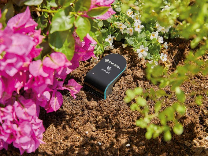 Gardena Smart Sensor v květinovém záhonu pro měření vlhkosti půdy