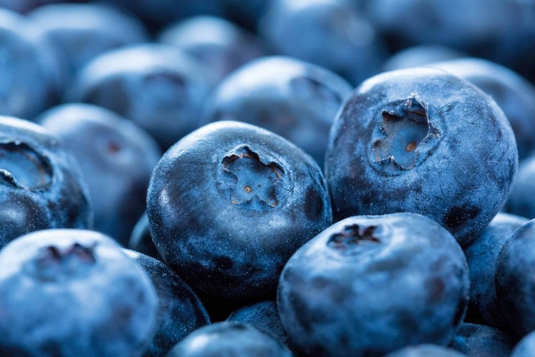 Detailní záběr borůvek