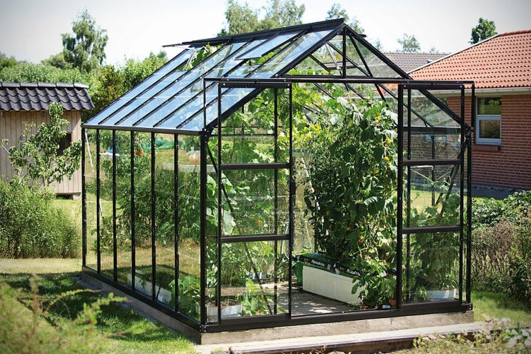 Skleník s rostlinami na zahradě