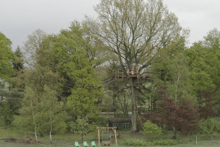 Dům na stromě s dřevěnou plošinou v zahradě se stromy a houpačkou