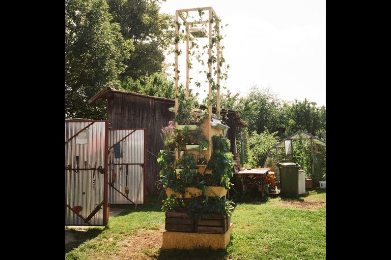 Dřevěná pyramida osázená bylinkami a rostlinami na zahradě