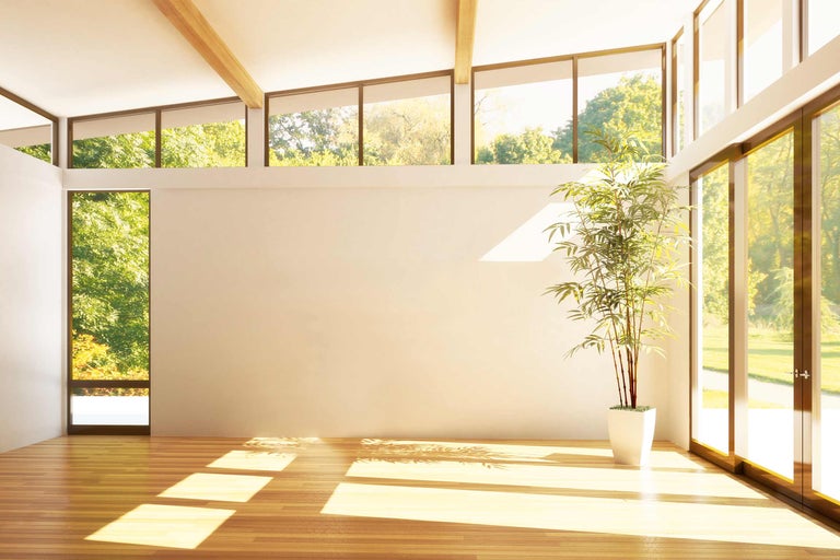 Světlá místnost s velkými okny, dřevěnou podlahou a bambusovou rostlinou v květináči