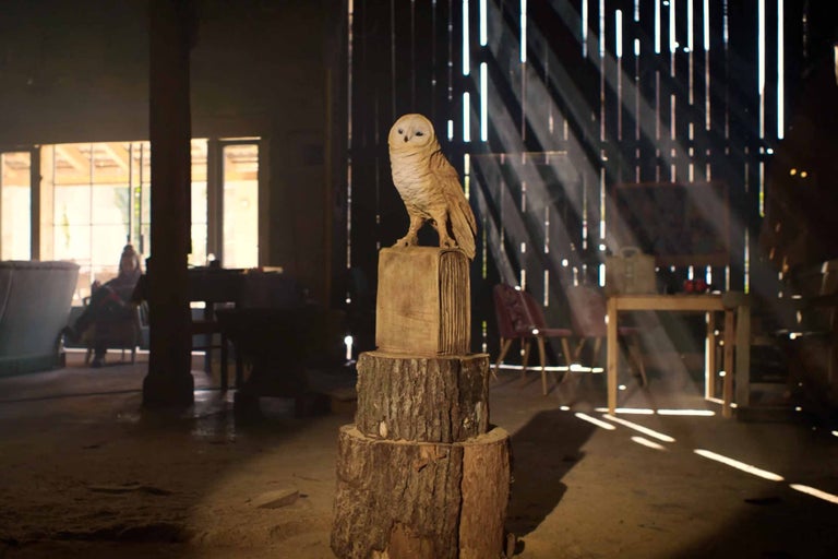 Dřevěná dekorativní sova na pařezech ve workshopu