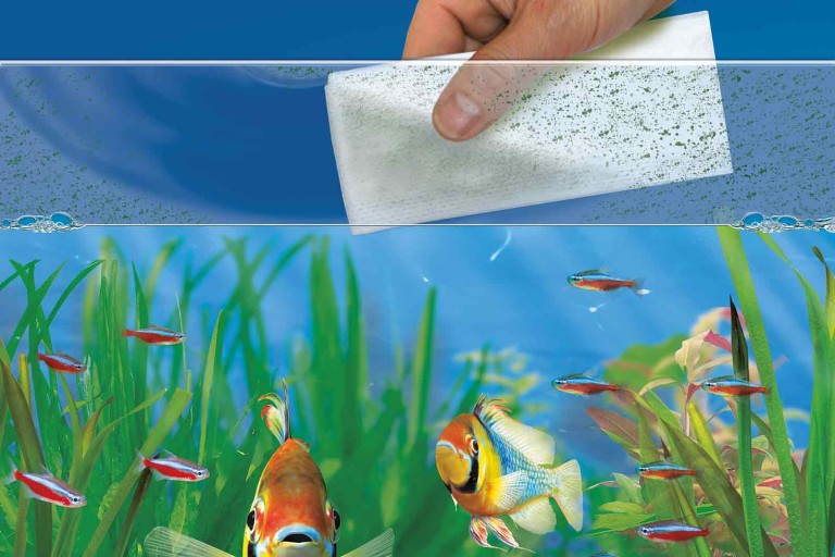 6 kroků, jak vyčistit akvárium, aby vypadalo jako nové 