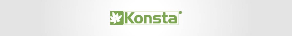 Konsta Konsta