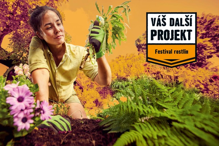 Uspořádejte si svůj vlastní Festival rostlin Uspořádejte si svůj vlastní Festival rostlin