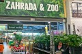 Vstup do oddělení zahrady a zvířat v obchodě Hornbach s různými rostlinami a květinami