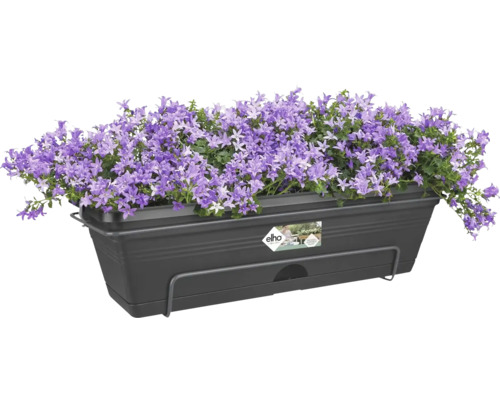 Balkonový truhlík s fialovými zvonky