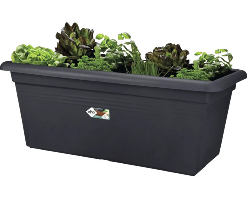 Obdélníkový truhlík se salátem a bylinkami