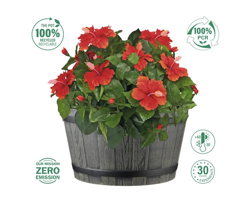 Ibišek v květináči s informacemi o recyklaci a šetrnosti k životnímu prostředí