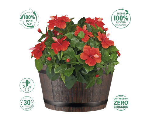Ibišek v květináči se vzhledem dřeva a upozorněními 100 procent PCR, teplotní rozsah od -30 do +60 stupňů, 30 let zkušeností, 100 procent recyklovatelné a nulová emisní mise.