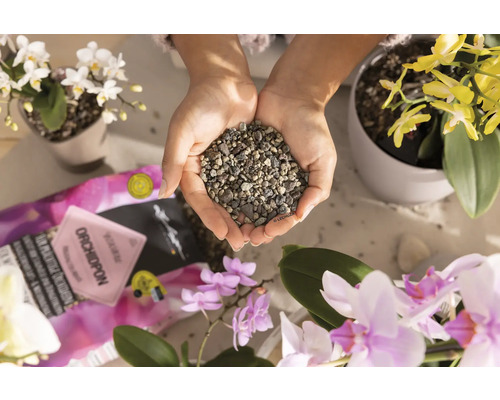 Ruce drží substrát pro orchideje obklopené orchidejemi