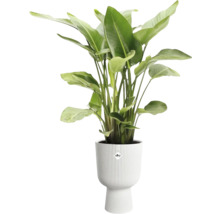 Obal na květináč plastový elho Vibes Fold Coupe Ø 30 cm bílý
