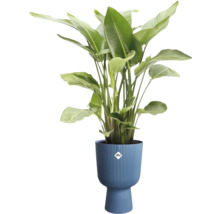 Obal na květináč plastový elho Vibes Fold Coupe Ø 30 cm modrý