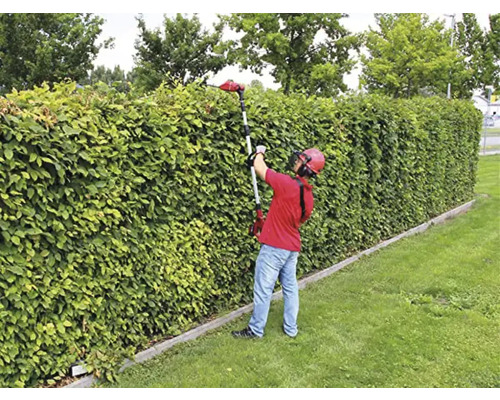 Osoba stříhá zelený živý plot nůžkami na živý plot.