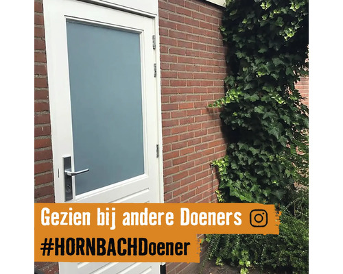 Vchodové dveře se skleněnou výplní a nerezovou klikou vedle cihlové zdi porostlé břečťanem