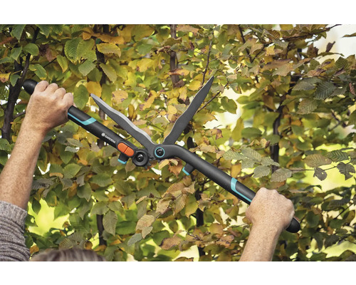 Zahradní nůžky v akci na živém plotu