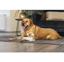 Labrador leží s hračkou pro psy na koberci v obývacím pokoji.