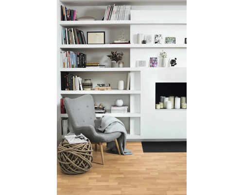 Obývací pokoj s knihovnou, křeslem a dekorací