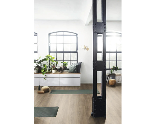 Světlá místnost s gymnastickými podložkami, okenní stěnou, rostlinami a ozdobným nosníkem