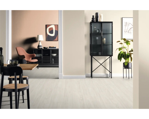 Interiér s jídelním stolem, židlemi, vitrínou a pokojovou rostlinou