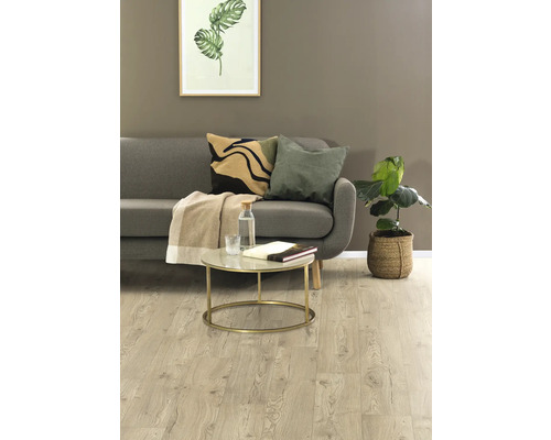 Obývací pokoj s pohovkou, konferenčním stolkem a pokojovou rostlinou