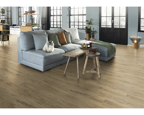 Obývací pokoj s šedou pohovkou, dřevěnou podlahou a kočkou