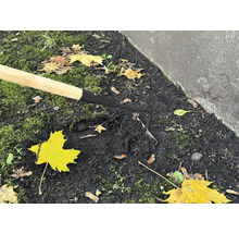 Detailní záběr motyky s dřevěnou rukojetí v zahradní půdě.