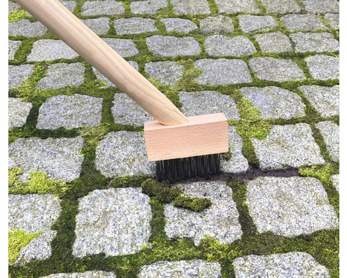 Kartáč s dřevěnou rukojetí odstraňuje mech z dlažebních kostek.