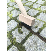 Kartáč na spáry s dřevěnou rukojetí čistí dlažební kostky od mechu